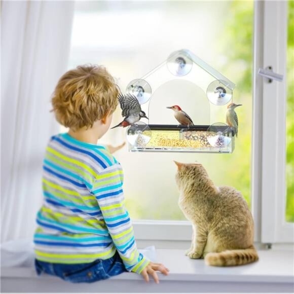 Clear Window Bird Feeder with 5 Extra Strong Suction Cups, Sturdy and Durable - Picture 6 of 7